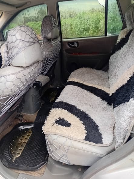 هيونداي سنتافي 2004 - صورة 2