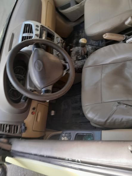 شانا شانا 2010 - صورة 2