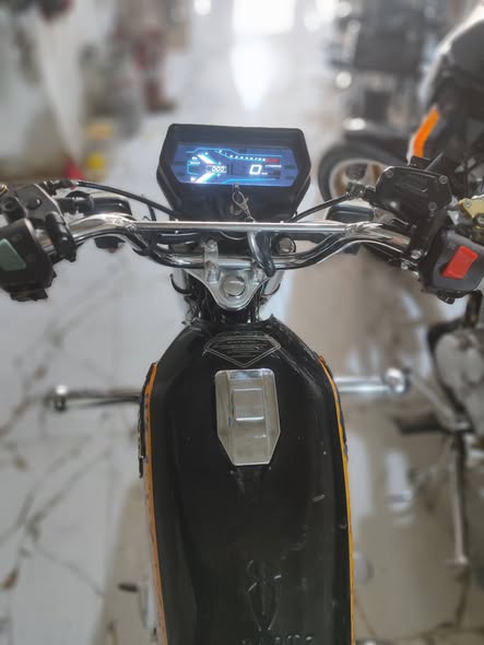 بارت عقاب 2025 - صورة 1