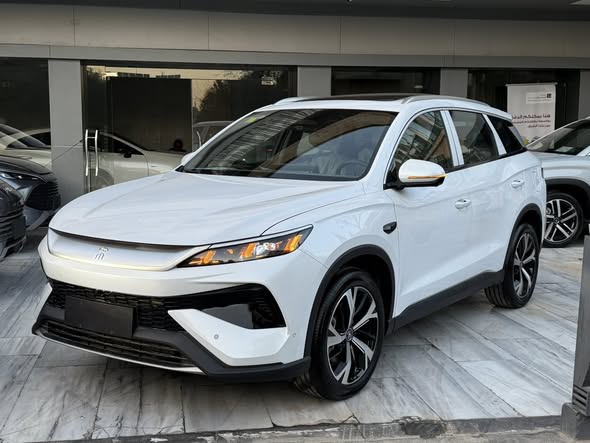 بي واي دي سونغ برو 2025 - صورة 1