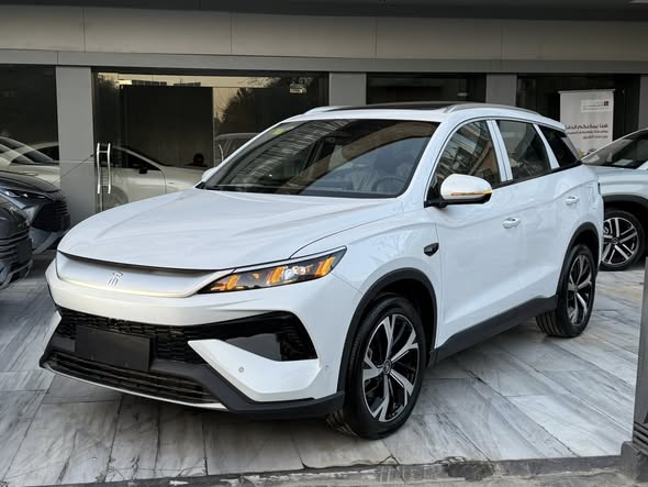 بي واي دي سونغ برو 2025 - صورة 2