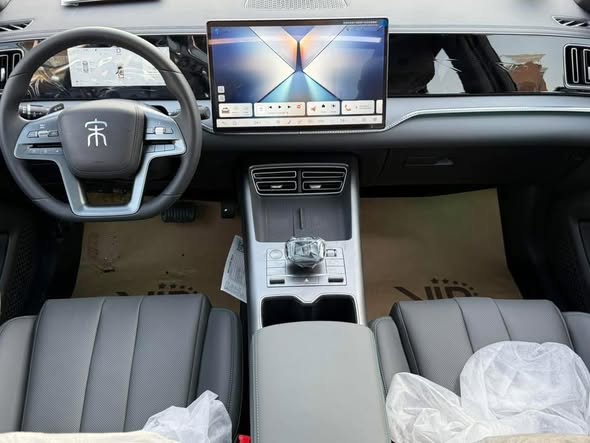 بي واي دي سونغ برو 2025 - صورة 5