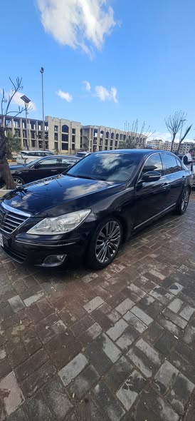 جنسس جنسس 2014 - صورة 2