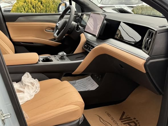 بي واي دي سونغ 2025 - صورة 4