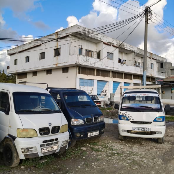 هافي ريو 2011 - صورة 2