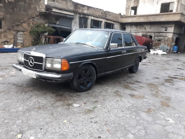 سايبا فلوريدا 2004 - صورة 1