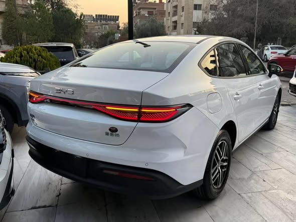 بي واي دي سيل 05 2025 - صورة 4