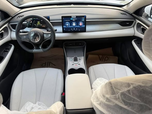 بي واي دي سيل 05 2025 - صورة 5