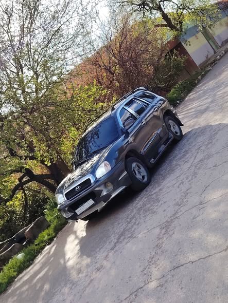 هيونداي سانتا في 2004 - صورة 1