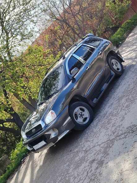 هيونداي سانتا في 2004 - صورة 3