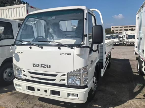 ايسوزو بيك أب 2025 - صورة 5