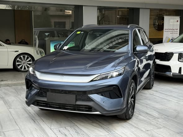 بي واي دي سونغ برو 2025 - صورة 1