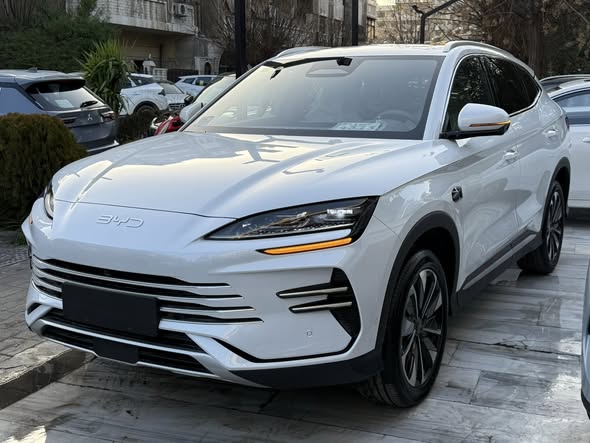 بي واي دي سونغ بلاس 2025 - صورة 2