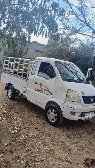 هافي ميني 2010 - صورة 2