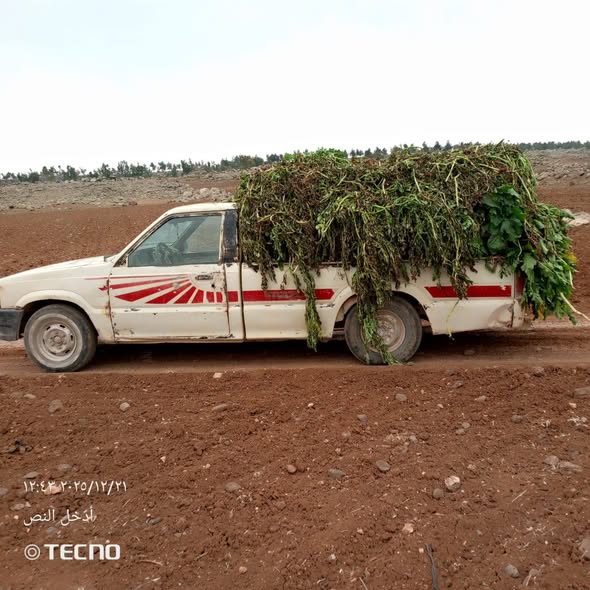 مازدا بكب 1992 - صورة 2