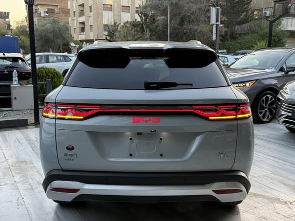 بي واي دي سونغ L 2025 - صورة 4