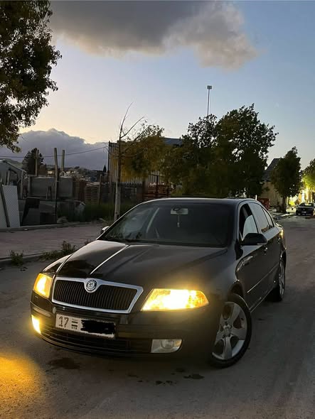 سكودا اوكتافيا 2010 - صورة 1