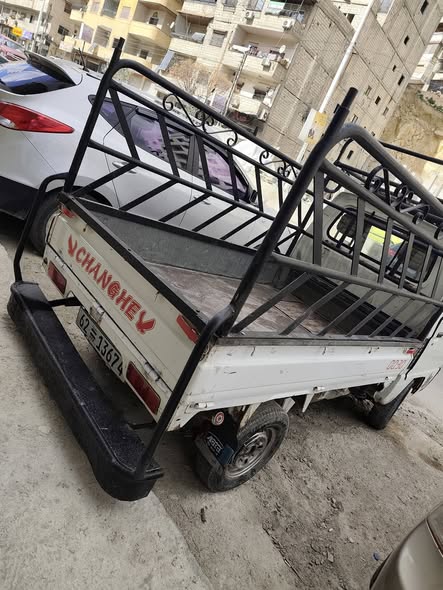 شانغهاي بيك اب 2009