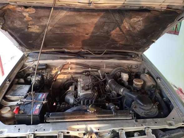 لاند ويند لاند ويند 2006 - صورة 4