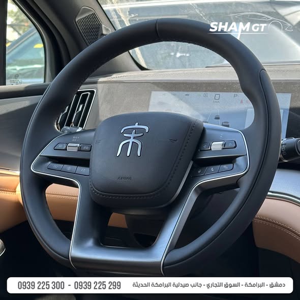 بي واي دي سونغ 2025 - صورة 4