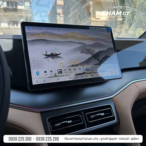 بي واي دي سونغ 2025 - صورة 5