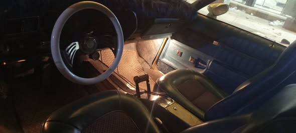 بويك ريغال 1977 - صورة 5