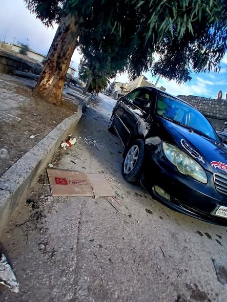 بي واي دي اف 3 2011 - صورة 2