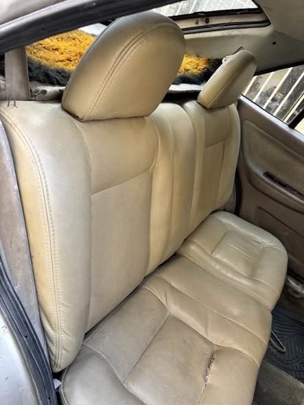 شيري شمعة 2008 - صورة 1