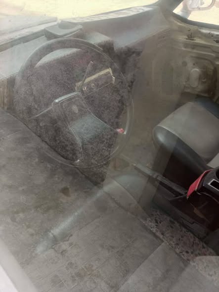 داسيا بيكاب 1996 - صورة 2