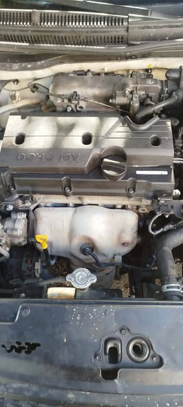 كيا ريو 2011 - صورة 4