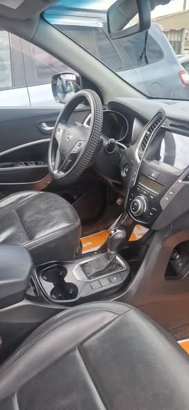 سانج يونج تيفولي 2016 - صورة 1