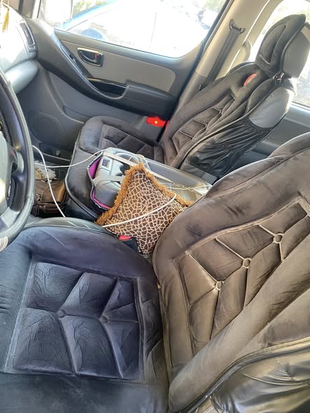 شانا كرت 2011 - صورة 1