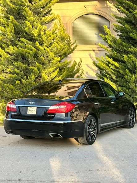 هيواندي جنسيس 2012 - صورة 1