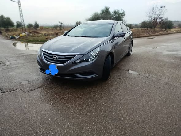 سايبا سابا 2007 - صورة 5