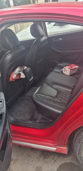 شيري اريزو 2020 - صورة 3