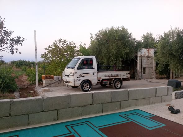 سونغ سونغ 2005 - صورة 1