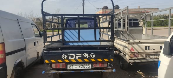 دي أف أم بيك أب 2008 - صورة 3