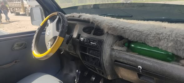 دي أف أم بيك أب 2008 - صورة 5