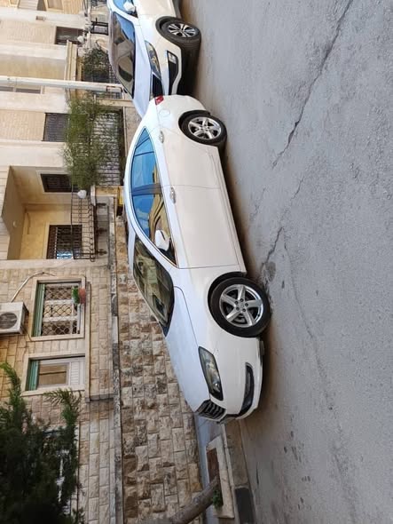 فاو بسترن 2018 - صورة 3