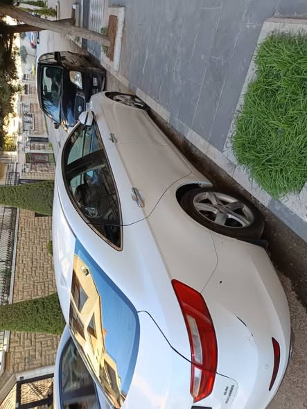 فاو بسترن 2018 - صورة 4