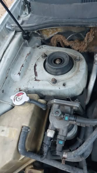 تشيري كيو كيو 2005