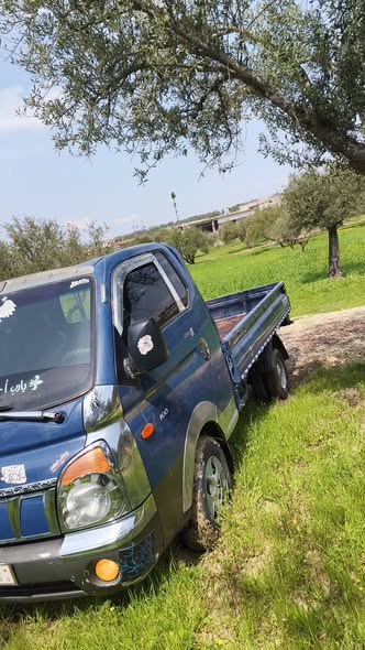 هيونداي بورتر 2008 - صورة 2