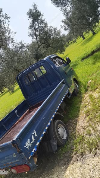 هيونداي بورتر 2008 - صورة 4