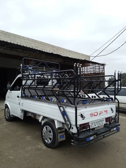 دونغ فينغ كرتا 2007 - صورة 2