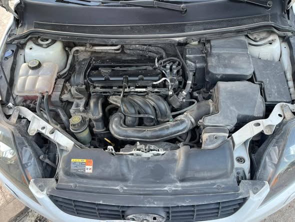 فورد فوكس 2010 - صورة 2