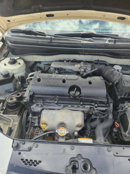 كيا ريو 2010 - صورة 2