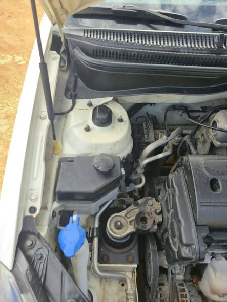 كيا ريو 2010 - صورة 4