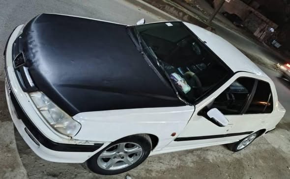 بيجو بارس 2010 - صورة 3