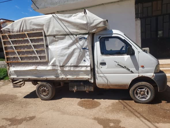 سوزوكي ترايا 2010 - صورة 1