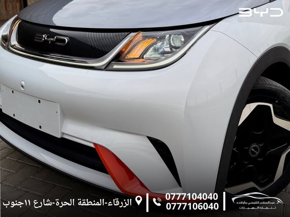 بي واي دي دولفين 2022 - صورة 2